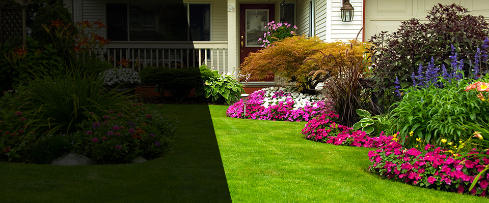 Everett Landscapers