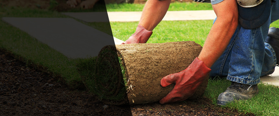 Everett Landscapers